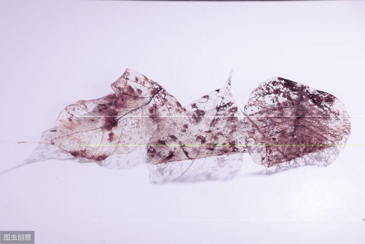 微信成为了我们爱情的见证者