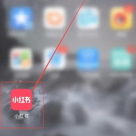 怎么才能知道小红书号