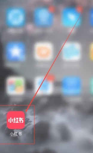 怎么查别人的小红书号