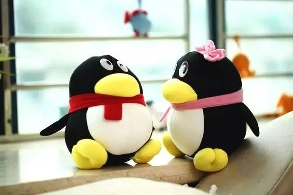 一堆小号的qq我都忘了怎么办?